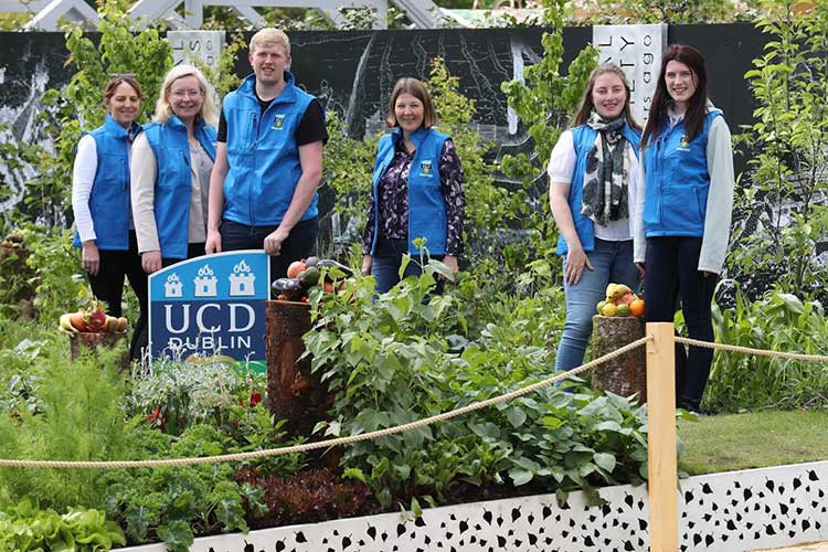 UCD Bloom team