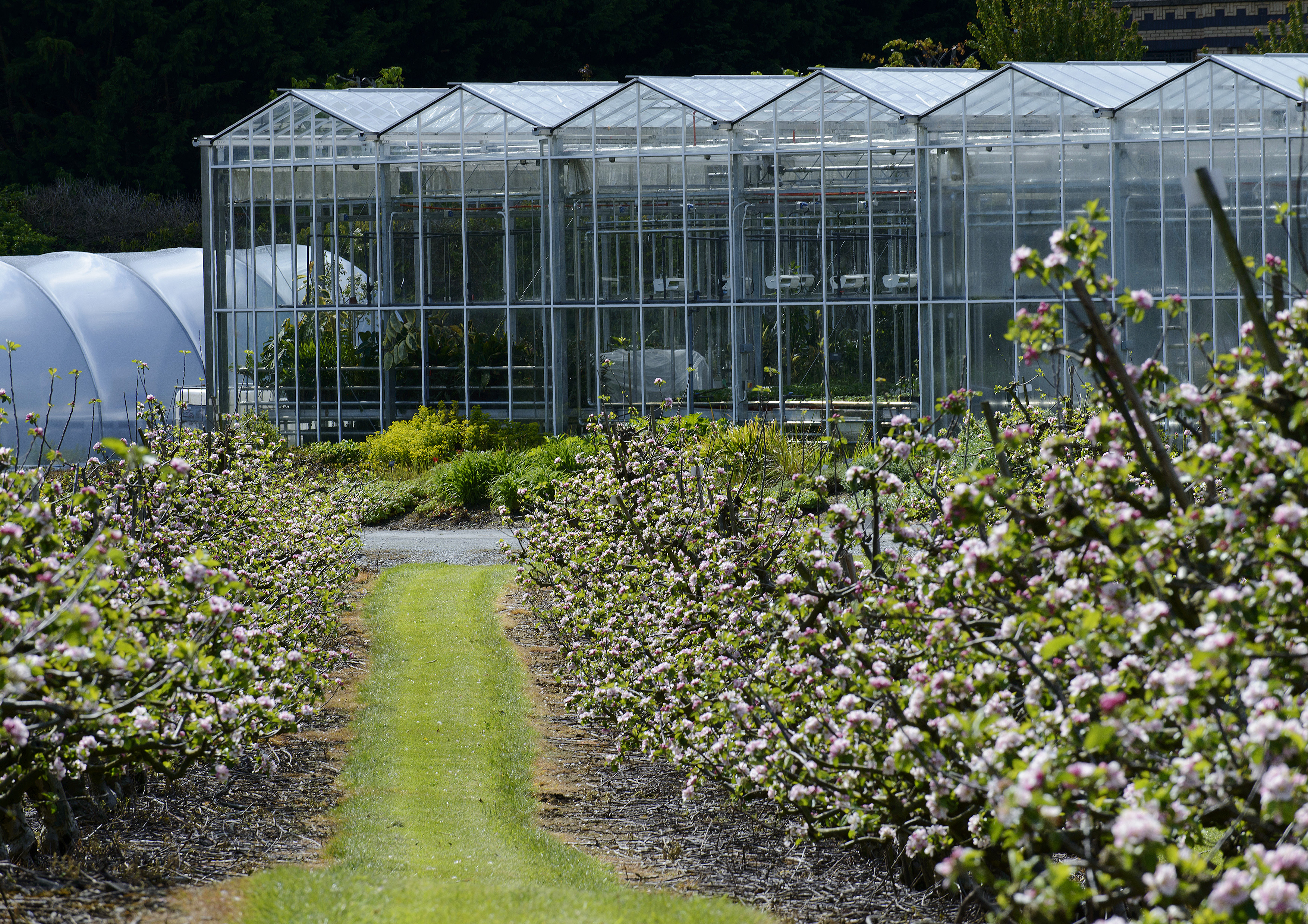 UCD College of Health and Agricultural Sciences