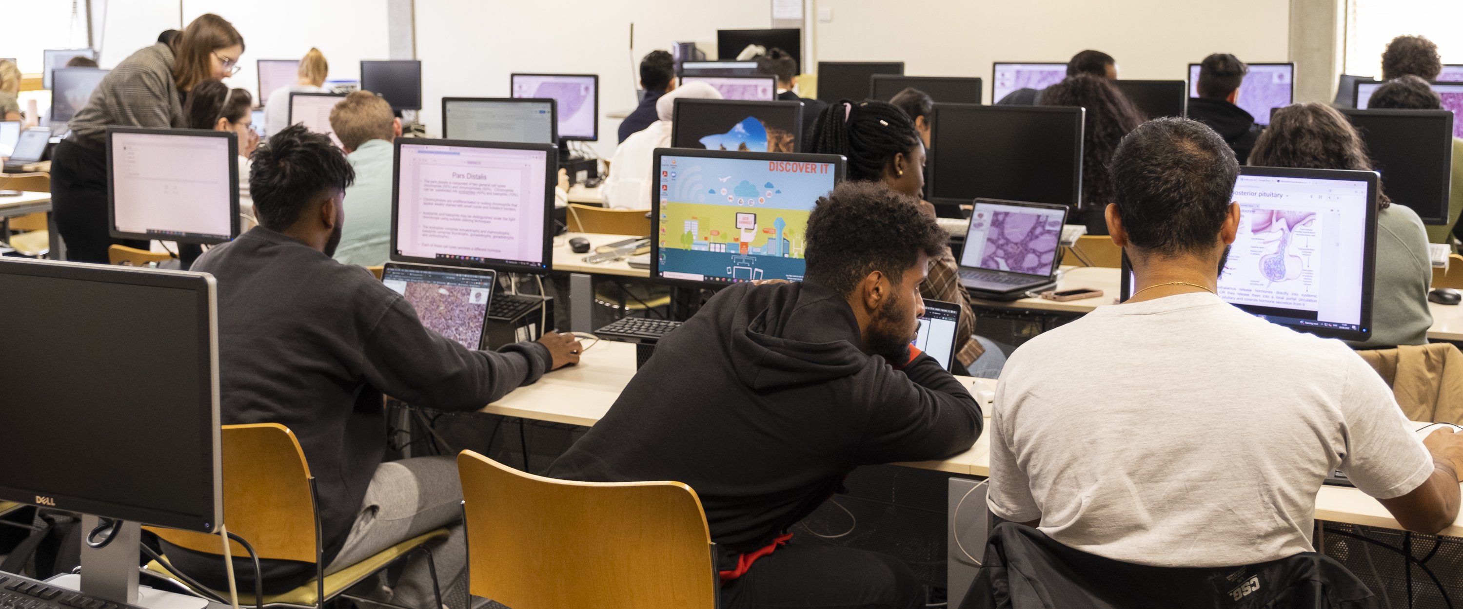 Students working in a computer lab