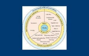 Circular obesity chart with navy blue background