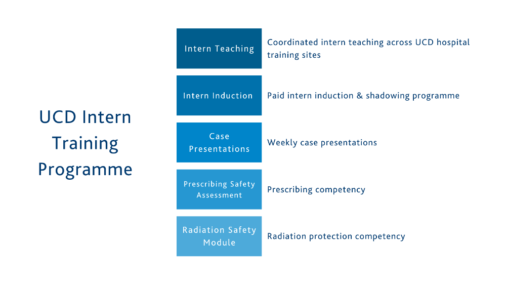 UCD Intern Network Programme Chart