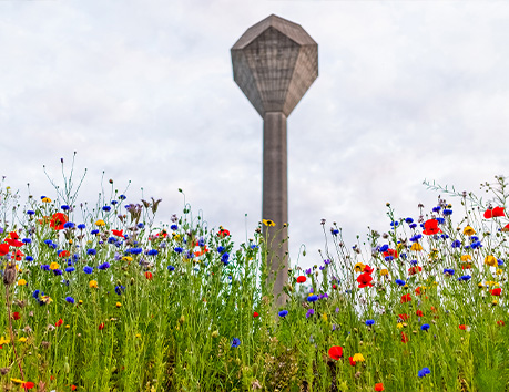 UCD Water Tower