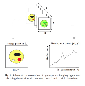 Spectral imaging in Food