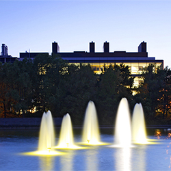 UCD lake at night