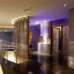 Tepidarium, Jacuzzi, sauna and steam room area