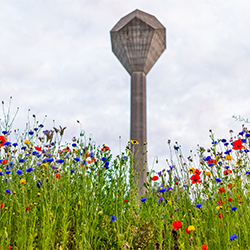 UCD Water Tower